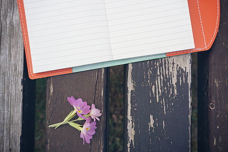 purple petaled flower beside white printer paper thumbnail