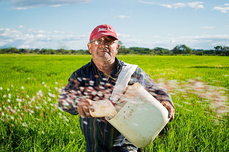 man wearing red cap and blue long-sleeved shirt holding white container thumbnail