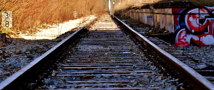 train rail between brown grass thumbnail