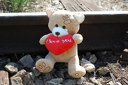 brown bear plush toy thumbnail