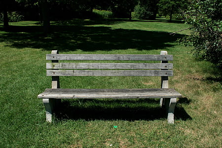 gray wooden bench surrounded by trees thumbnail