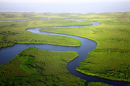 marshland under grey cloudy skies thumbnail