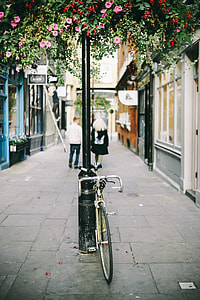 depth of field photography of gray road bicycle near black metal post on gray concrete pathway thumbnail