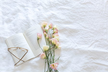 flowers, petals, roses, book thumbnail