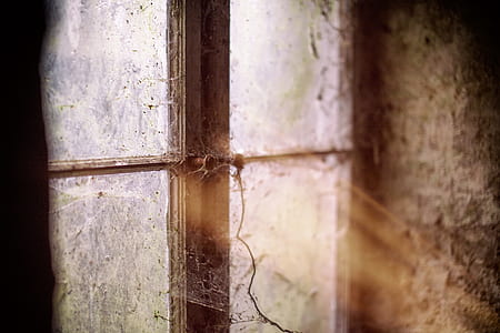 cobwebs on metal glass window with sun rays thumbnail