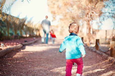 child, toddler, follow, path, walk thumbnail