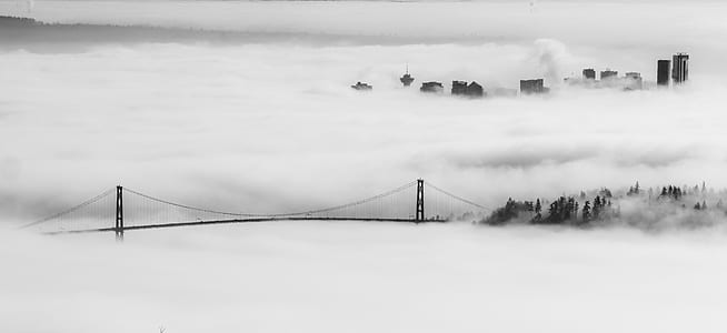 grayscale photography of bridge covered with fogs thumbnail