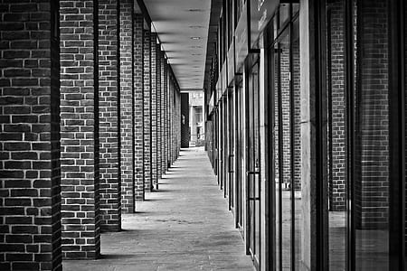 greyscale photography of empty pathway thumbnail