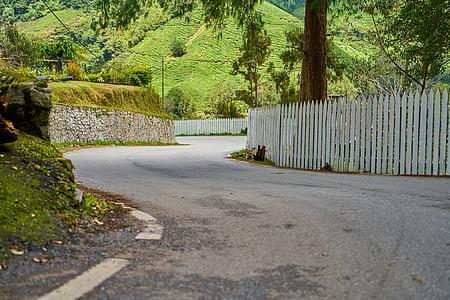 empty road near fence and tree thumbnail