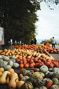 assorted vegetable lot display near trees thumbnail