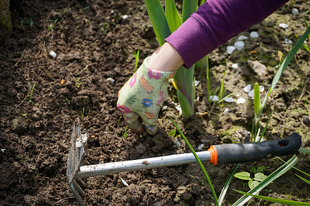 person holding soil beside garden tool thumbnail