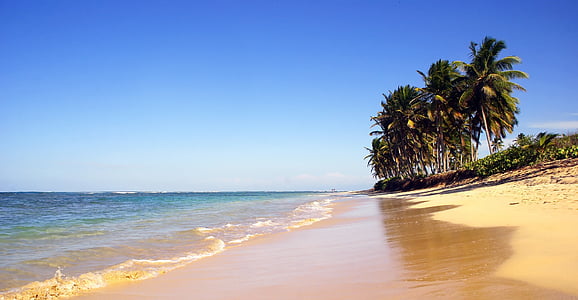beach near seashore thumbnail