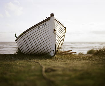 white boat at the shore thumbnail
