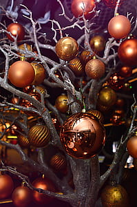 selective focus photography of assorted-color bauble lot hanged on tree thumbnail