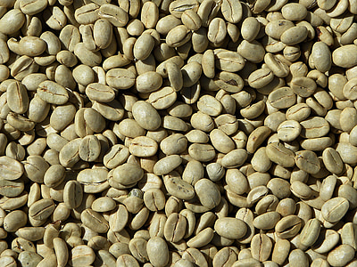 bunch of brown nuts thumbnail