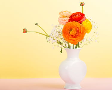assorted-color petaled flower arrangement in vase thumbnail