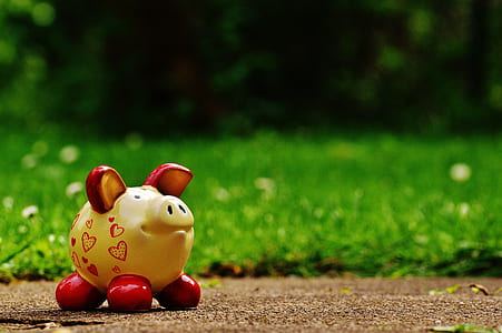 white and red ceramic pig figurine on brown concrete surface thumbnail