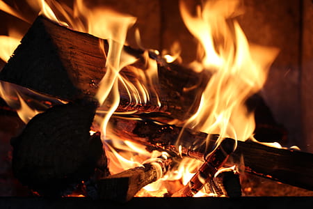fire, campfire, burning, fireplace thumbnail