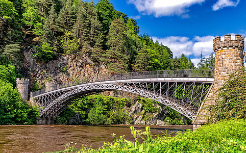 photo of a bridge above a river in the forest thumbnail