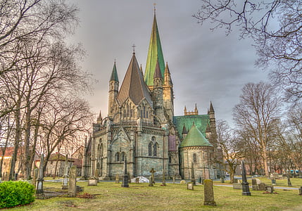 gray and green castle near bare trees at daytime thumbnail