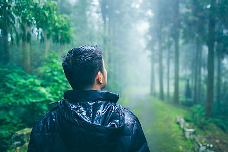 man standing on road between tall trees thumbnail