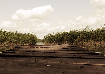 brown wooden dock thumbnail