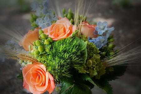 close up photography of peach rose flowers thumbnail