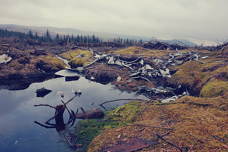 lake in the middle of dry lands thumbnail