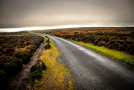 gray curving concrete road thumbnail