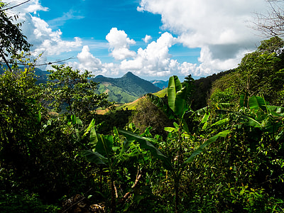 Mountain Landscape, Mountains thumbnail
