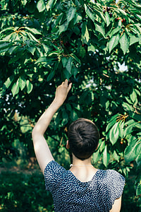Cherry picking thumbnail