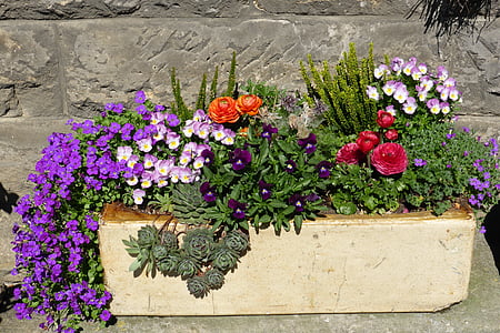 flowers in pot thumbnail