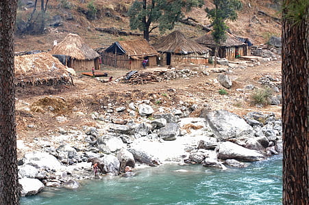 Brown Nipa Houses Beside River thumbnail