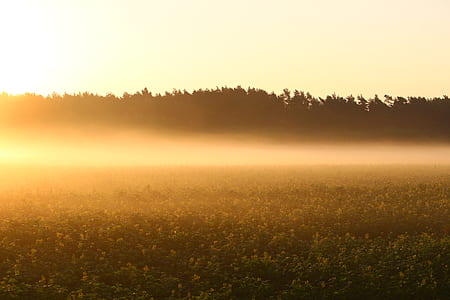 light, dawn, landscape, nature thumbnail