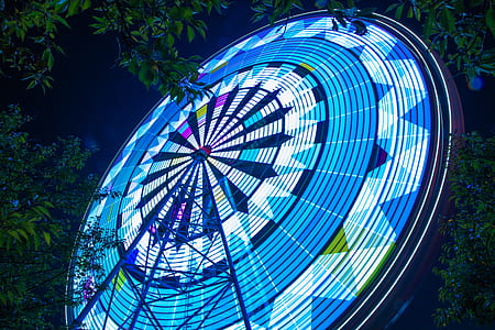round blue and white board beside green leaves thumbnail