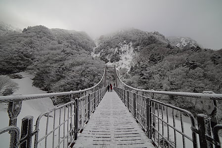 greyscale photo of hanging bridge thumbnail