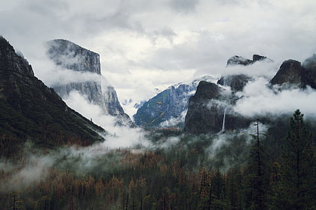 fog covered mountain with tall trees thumbnail