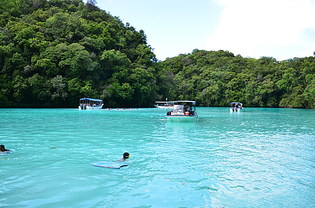 person swimming on sea near island thumbnail