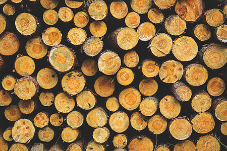 brown wood log lot on pile thumbnail