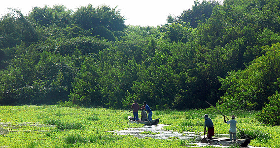 four men on paddle boat surrounded by trees thumbnail