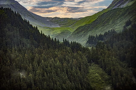 Photography Of Mountain Covered With Green Trees thumbnail