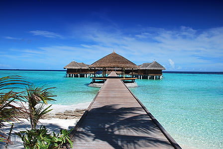 gray dock thumbnail