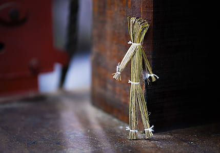 Tilt Shift Lens Photography of Brown Stand Twigs thumbnail