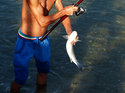 man holding cat fish thumbnail