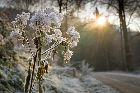 cold, snow, landscape, nature thumbnail