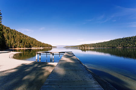 dock on calm body of water surrounded with trees at daytime thumbnail