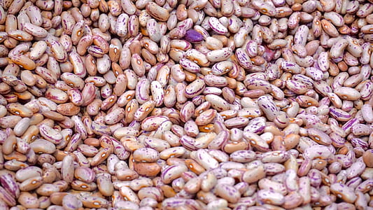 brown nut lot thumbnail