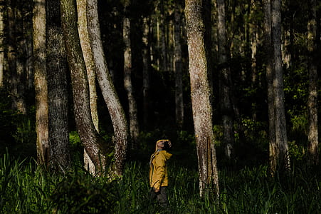 person standing on grass surrounded of trees thumbnail