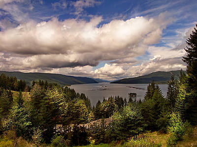 tall green trees within mountain range during daytime thumbnail