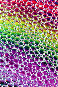 assorted-color dew art thumbnail